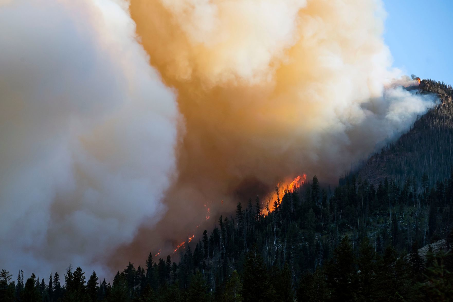 Fishhawk Fire